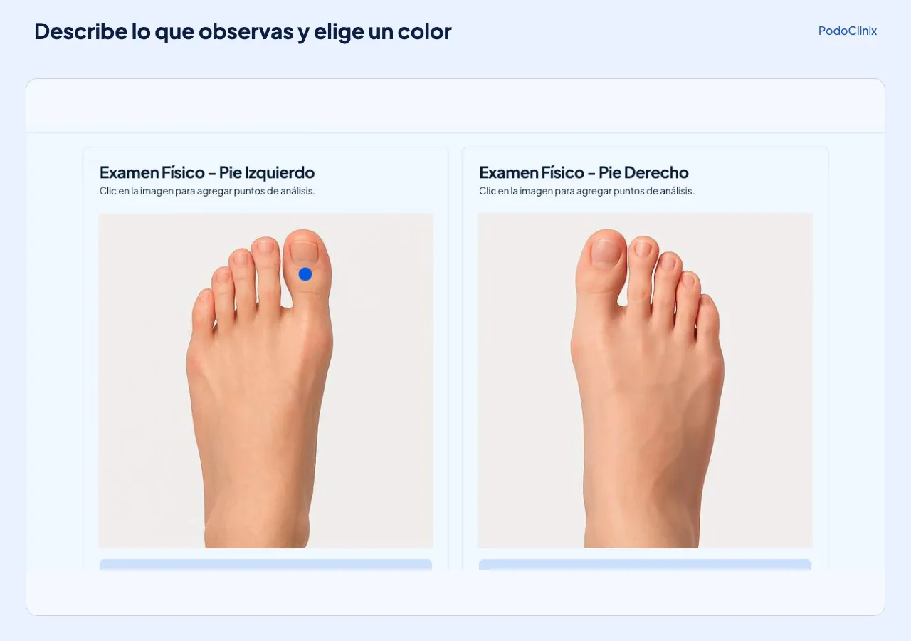 Pies izquierdo y derecho